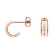 Daniel Wellington Rose Gold And Stainless Steel Two Tone Emalie Stud Earrings Fashion