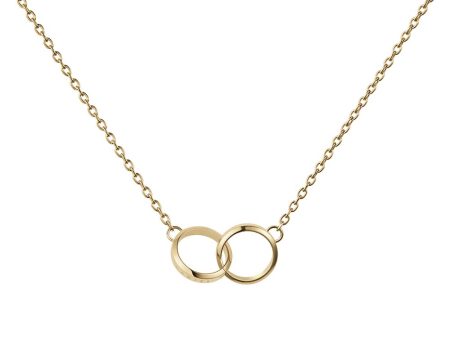 Daniel Wellington Gold Plated Stainless Steel Elan Unity 45cm Chain For Discount