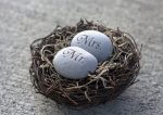 Mr. & Mrs. Bird Nest Cake Topper - Merry Pebble (TM) Collection by sjEngraving Sale