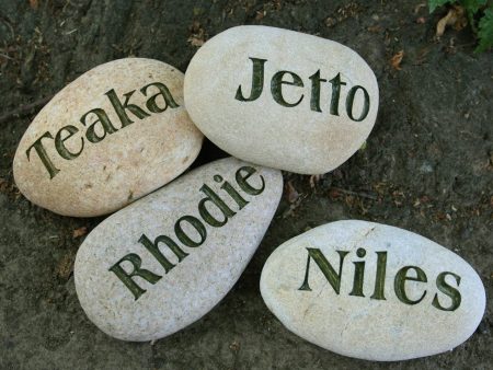 Custom Pet Name Stone - Palm size engraved stone Online now